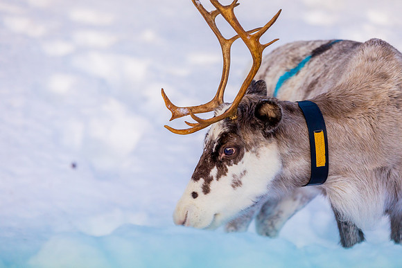 0128