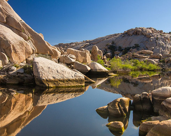 Barker-Dam-in-Joshua-Tree-National-Park-CA