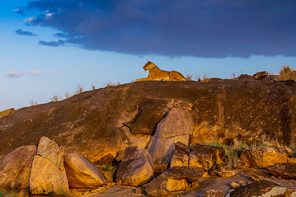 0485