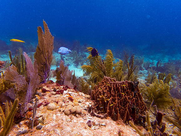 GOPR0797