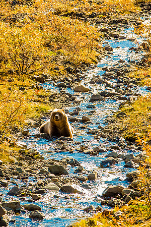 alaska land-001