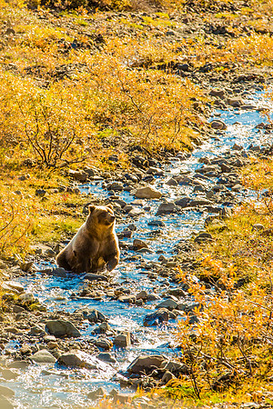 alaska land-002
