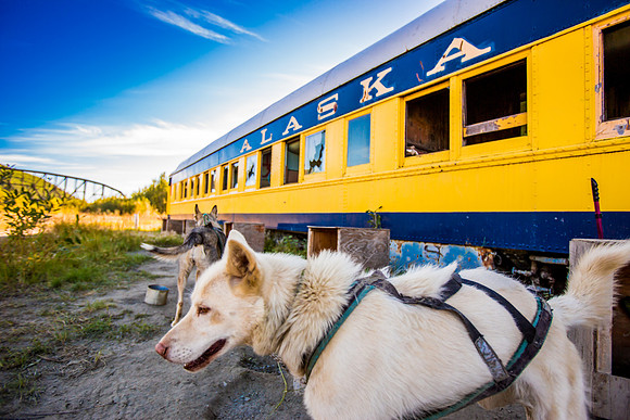 alaska land-011