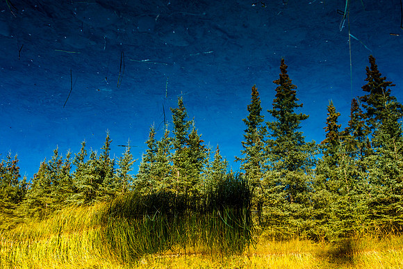 alaska land-013