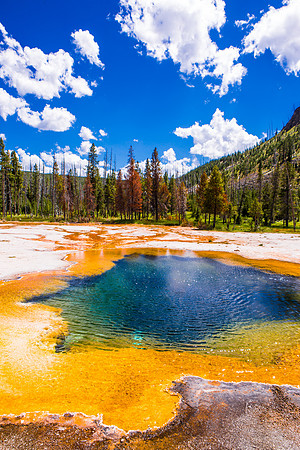 yellowstone geysers-020