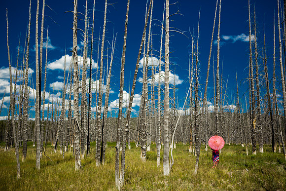 yellowstone geysers-026
