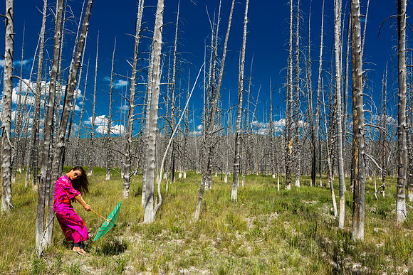 yellowstone geysers-031