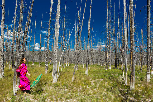 yellowstone geysers-032