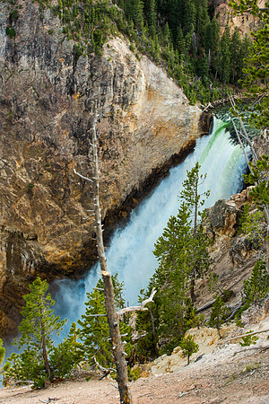 yellowstone geysers-039