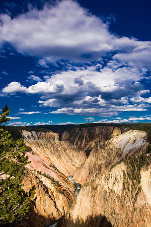 yellowstone geysers-041