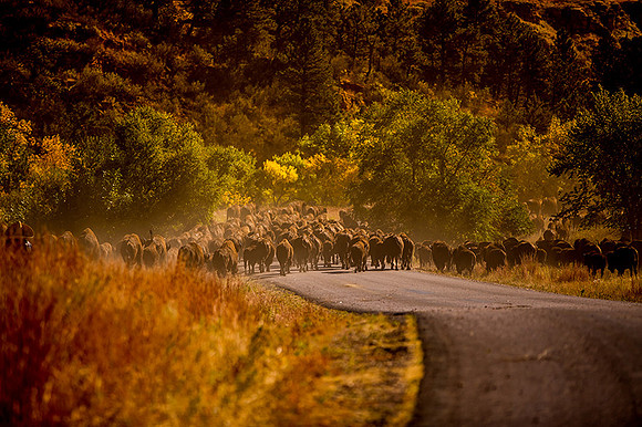 SouthDakota_085