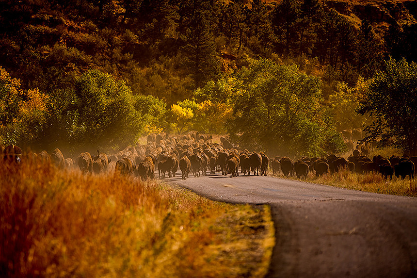 SouthDakota_085