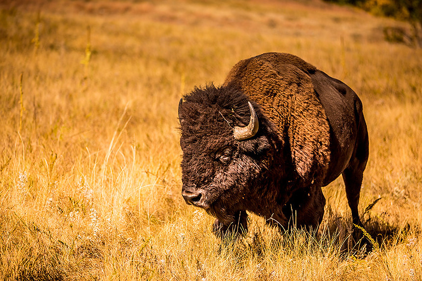 SouthDakota_088
