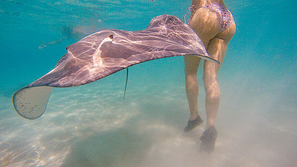Tahiti_055