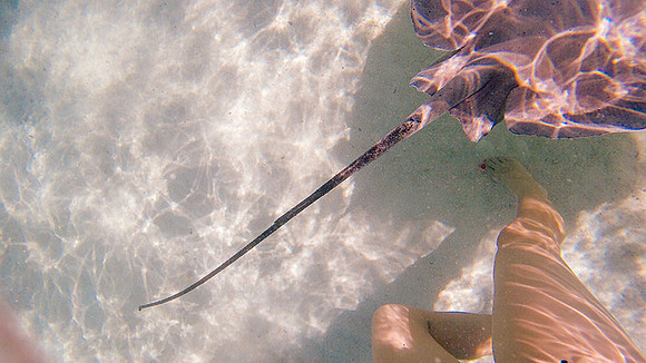 Tahiti_057