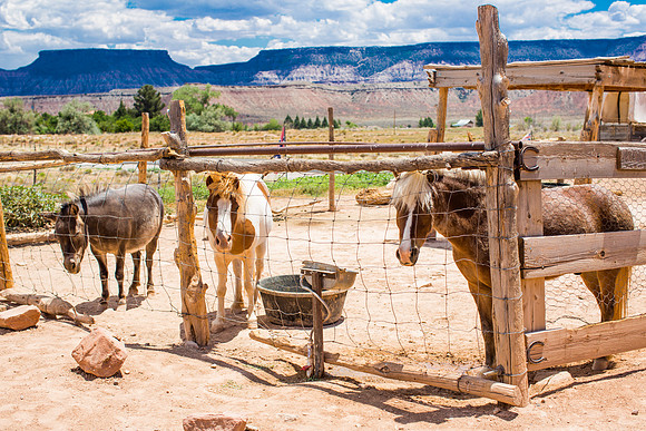 virgin wild west town-011