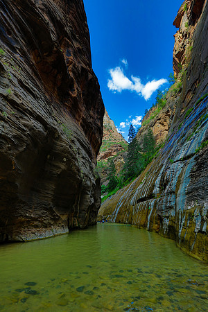 the narrows hike-011