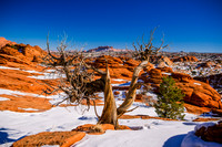 the wave arizona-013