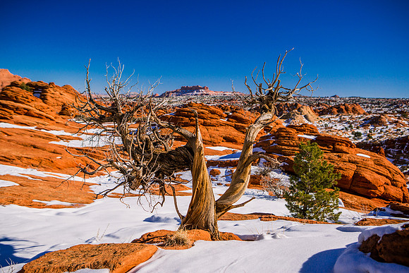 the wave arizona-013