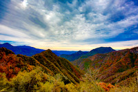 sequoia-005
