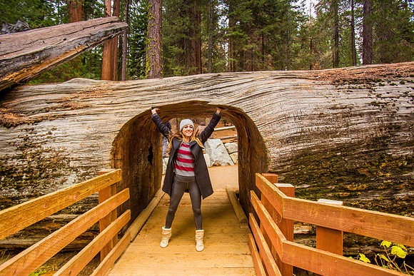 sequoia-007
