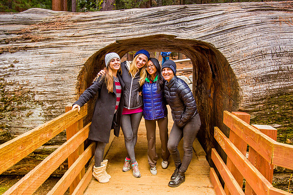 sequoia-008