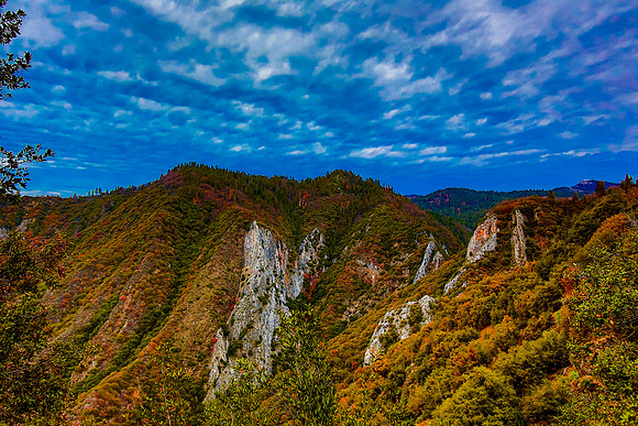 sequoia-003