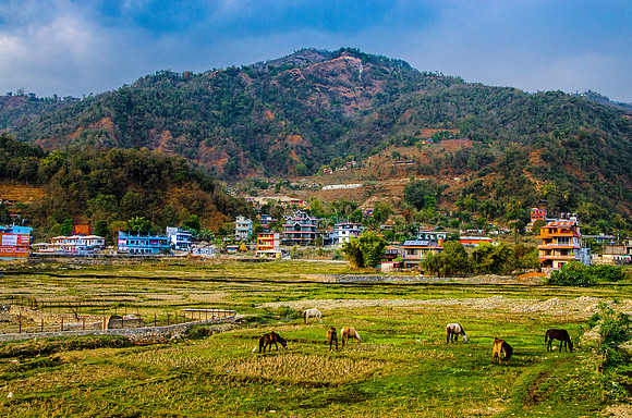 robin randolph nepal-20171038-2