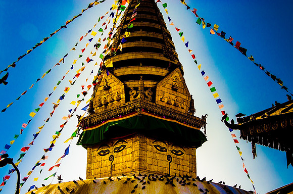 robin randolph nepal-2581