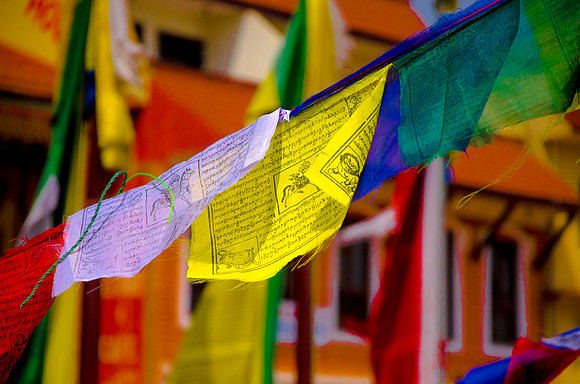 robin randolph nepal-20170989