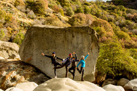 sequoia-020
