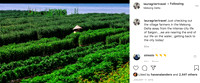 Screen Shot 2020-08-04 at 4.24.58 PM