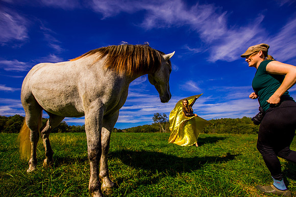 havana horse011