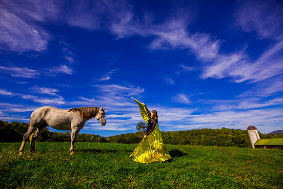 havana horse012