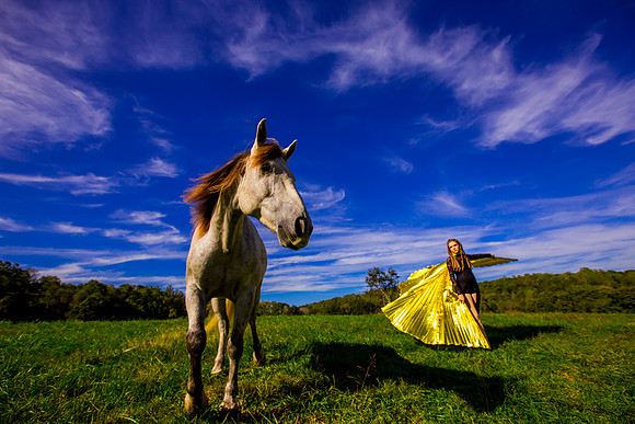 havana horse009