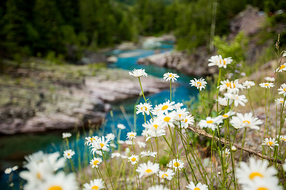 montana glacier national park-038