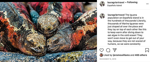 Screen Shot 2020-08-16 at 12.11.09 PM
