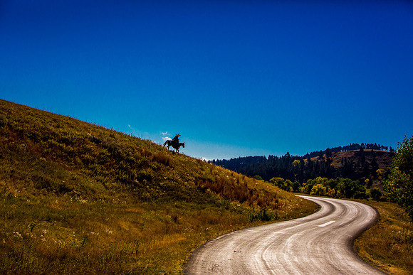 buffalo round up-002