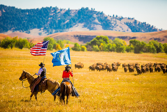 buffalo round up-003