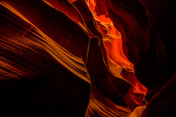antelope-002