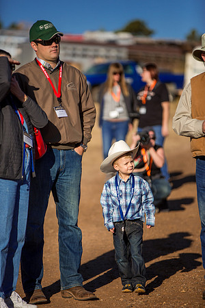 buffalo round up-005