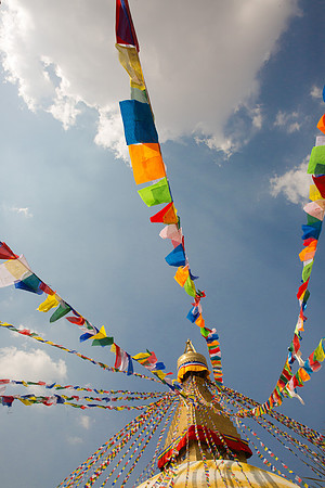1W2A1450