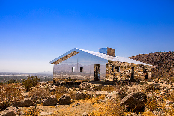 joshua tree-002