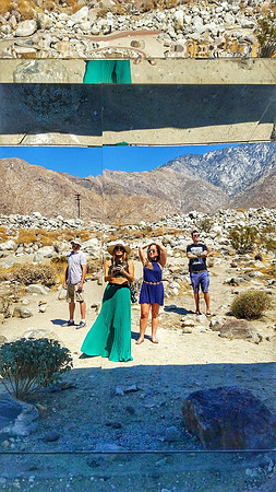 joshua tree-010