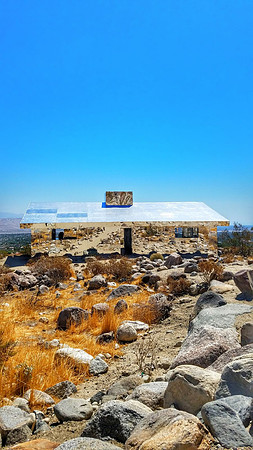 joshua tree-006