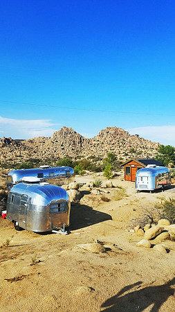 joshua tree-012