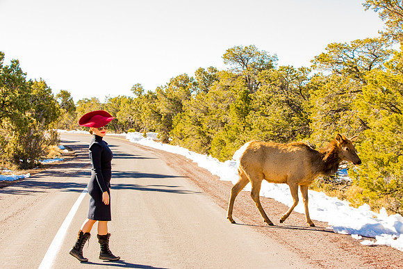 grand canyon styled shoot-036