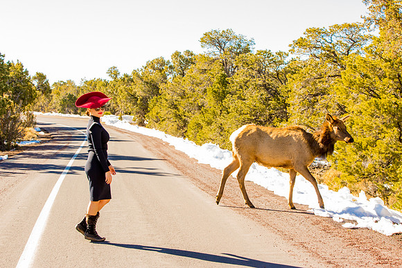 grand canyon styled shoot-037