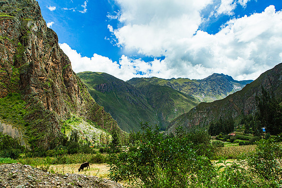 KelliBeePhotography-Peru-Sacred-Valley-0030