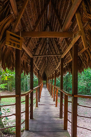 KelliBeePhotography-Peru-Amazon-Day4-0034